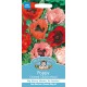 Poppy Oriental Choice Mixed